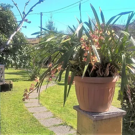 B&B Villa C'Era Una Volta Marina di Massa